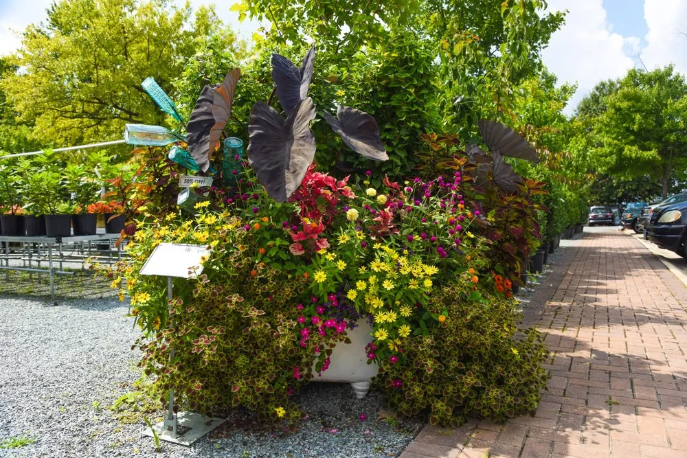 Expert lawn care service for homes in Potomac, MD by Good Earth Garden Market