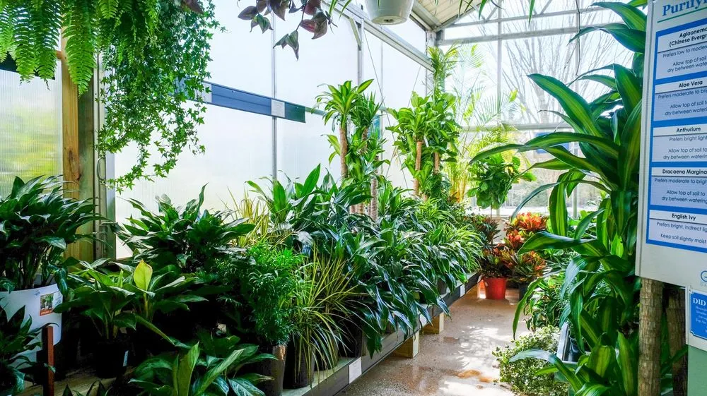 Top-rated yard maintenance in Potomac, MD - Good Earth Garden Market