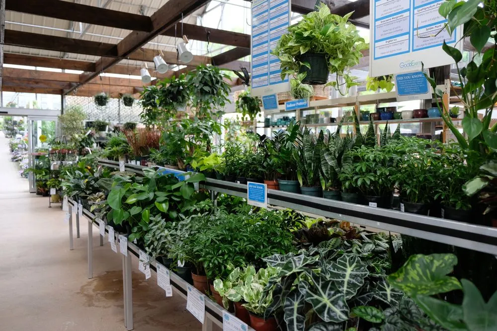 Local garden landscaping in Potomac, MD by Good Earth Garden Market