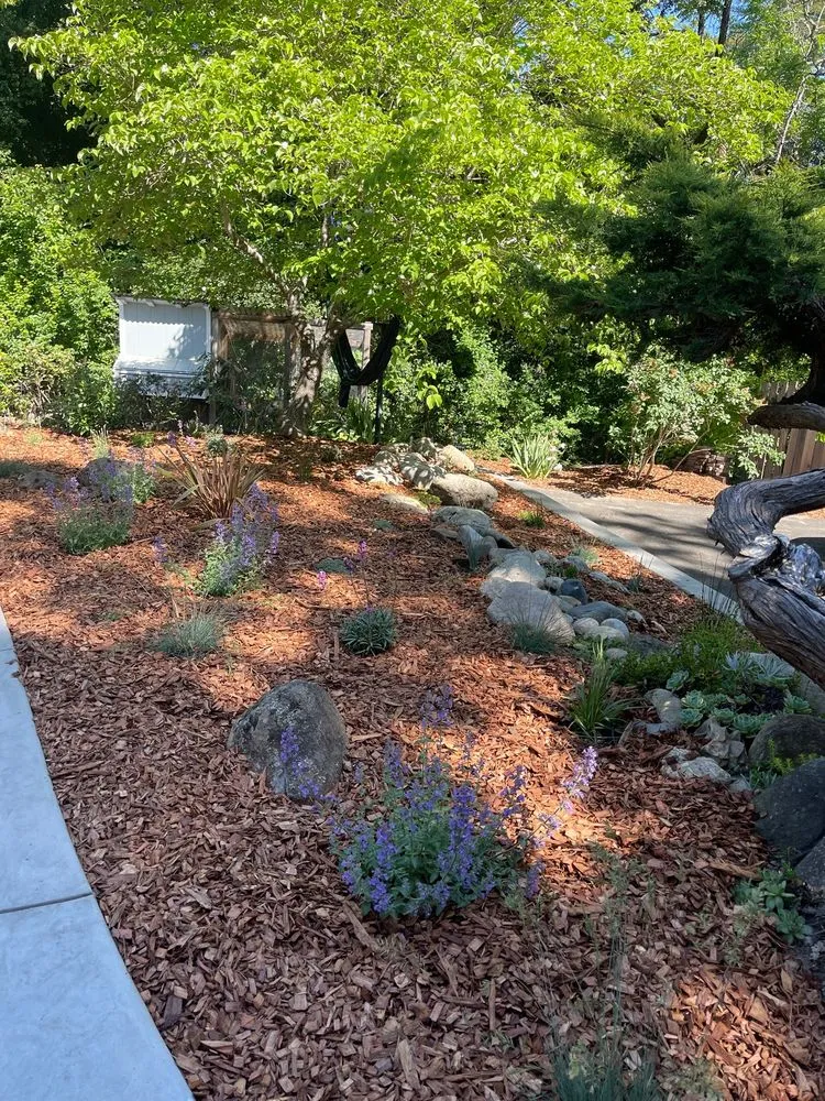 Affordable yard maintenance for outdoor upgrades in Santa Cruz, CA by Good Earth Landscape and Design