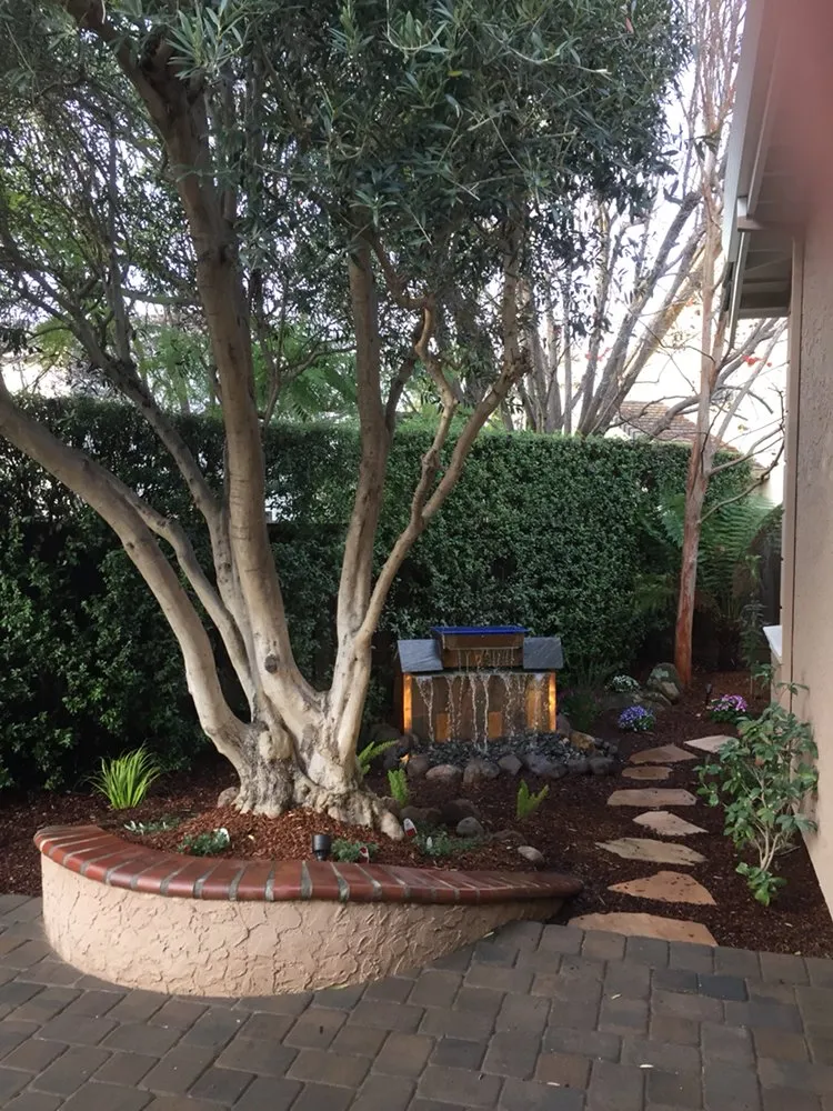 Reliable lawn care service for beautiful yards across Irvine, CA - Good Earth Landscape