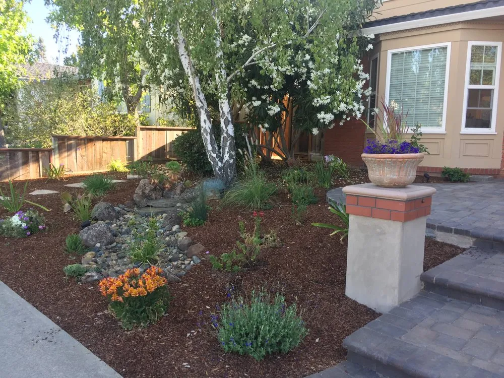Professional yard maintenance in Irvine, CA - Good Earth Landscape