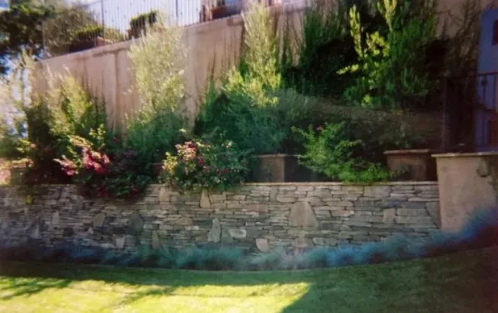 Local lawn mowing service in San Jose, CA by Good Earth Landscape