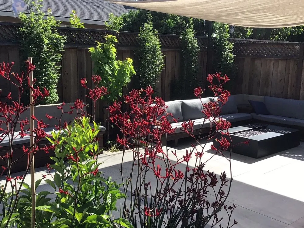 Custom lawn care service experts serving San Jose, CA - Good Earth Landscape