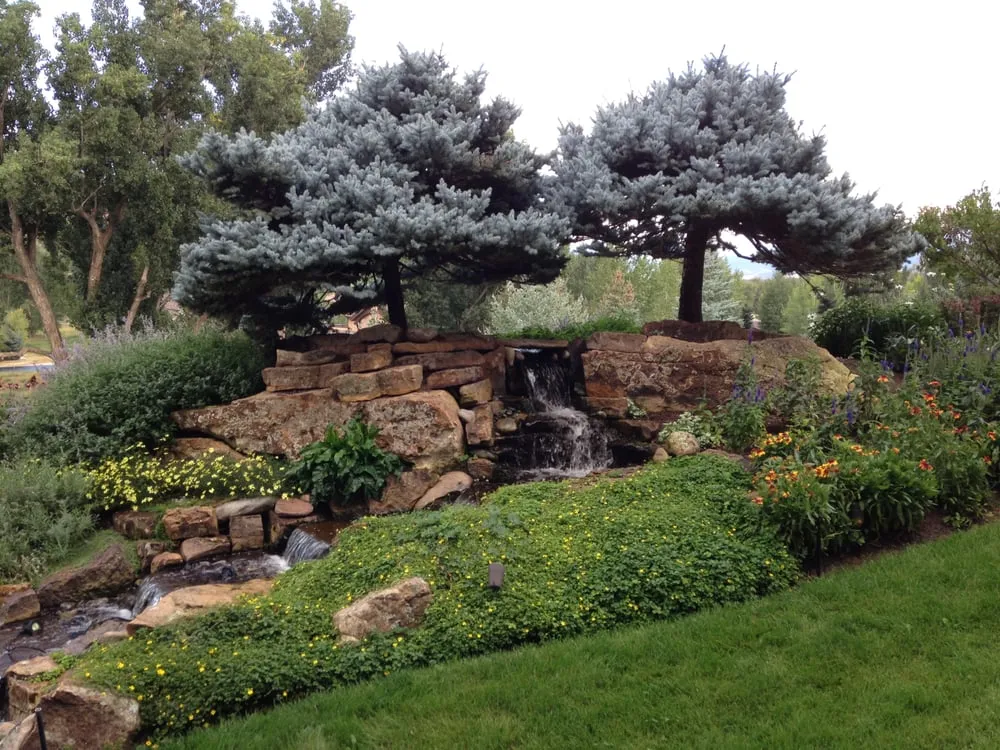 Trusted yard cleanup service experts serving Carbondale, CO - Good Earth Landscaping & Maintenance