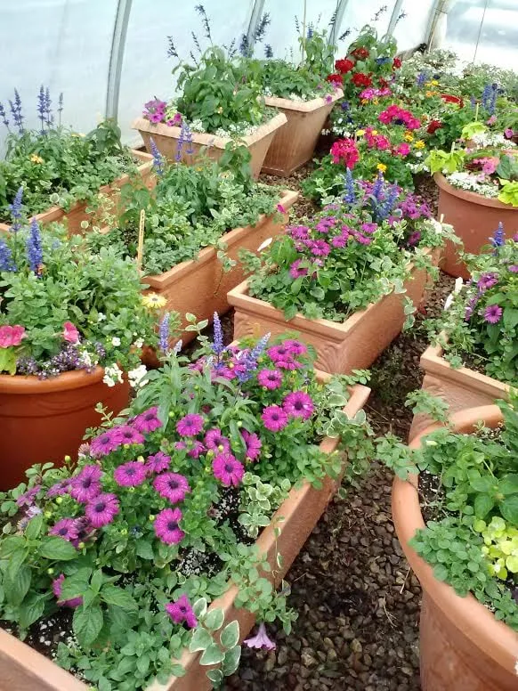 Local yard maintenance experts serving Carbondale, CO - Good Earth Landscaping & Maintenance