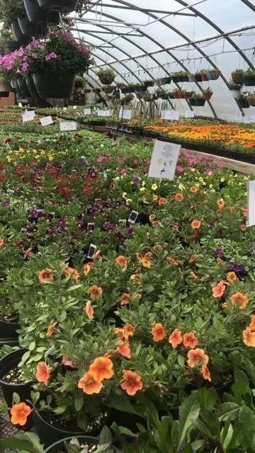 Reliable lawn care service for outdoor upgrades in Cream Ridge, NJ by Good Earth Nursery