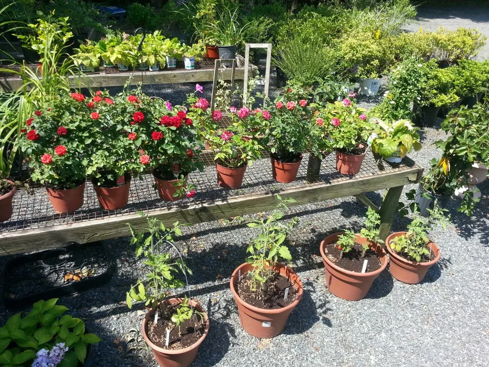 Reliable yard maintenance with custom design in Cream Ridge, NJ by Good Earth Nursery
