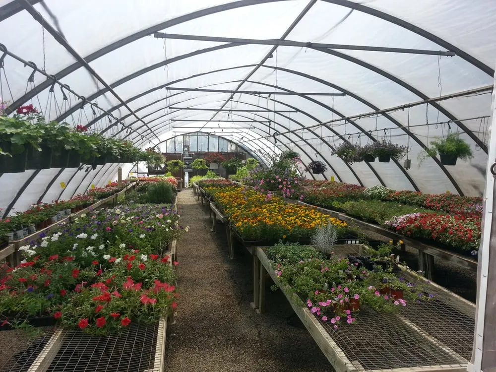 Expert yard cleanup service for residential properties in Cream Ridge, NJ by Good Earth Nursery
