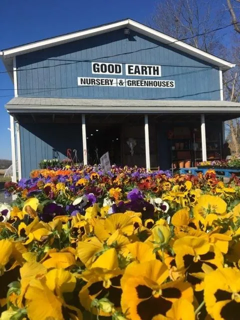 Trusted yard maintenance in Cream Ridge, NJ by Good Earth Nursery