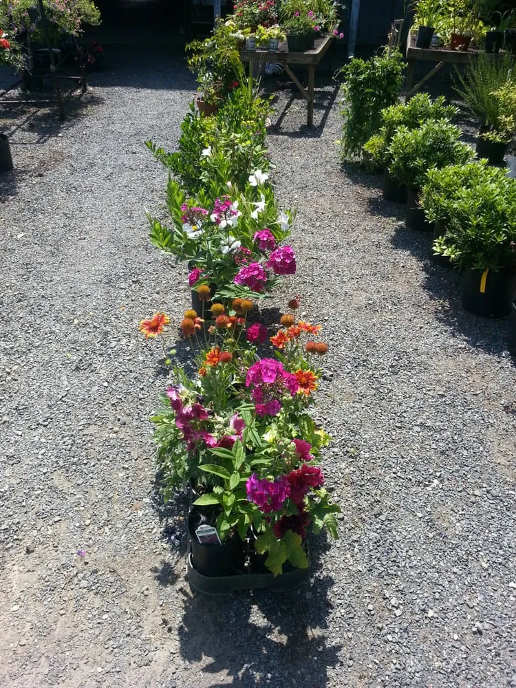Top-rated lawn mowing service for outdoor upgrades in Cream Ridge, NJ by Good Earth Nursery