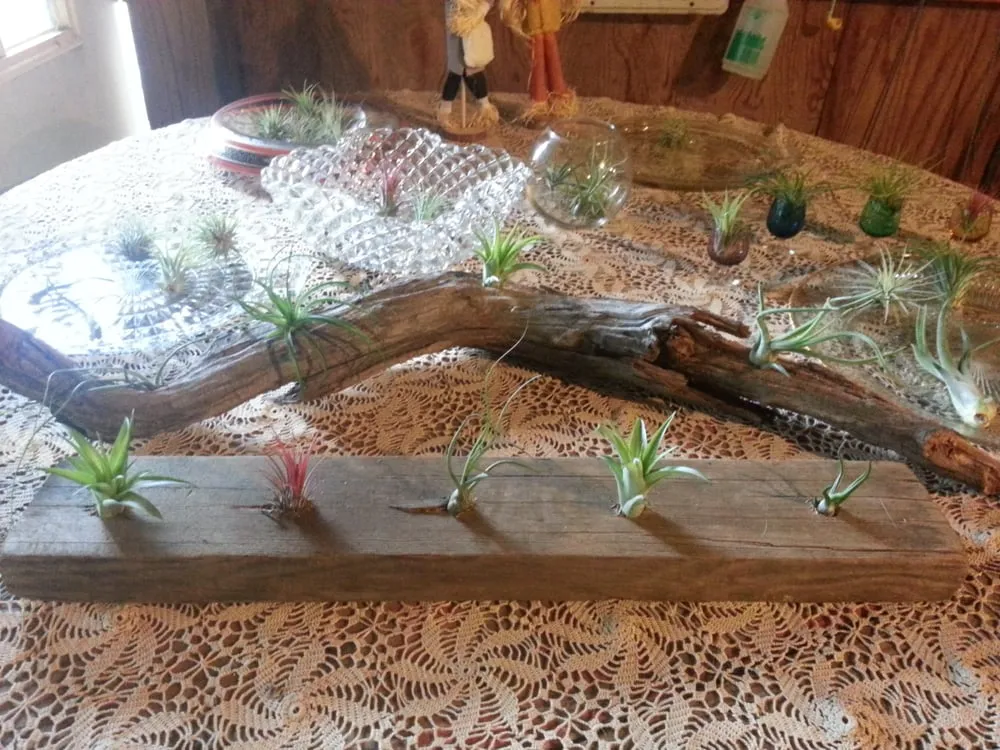 Professional landscape design experts serving Cream Ridge, NJ - Good Earth Nursery