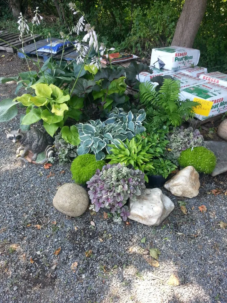 Reliable yard maintenance for year-round maintenance in Cream Ridge, NJ by Good Earth Nursery
