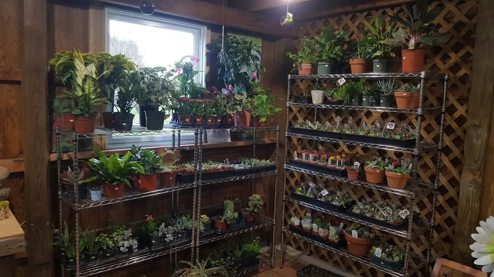 Expert garden landscaping experts serving Cream Ridge, NJ - Good Earth Nursery