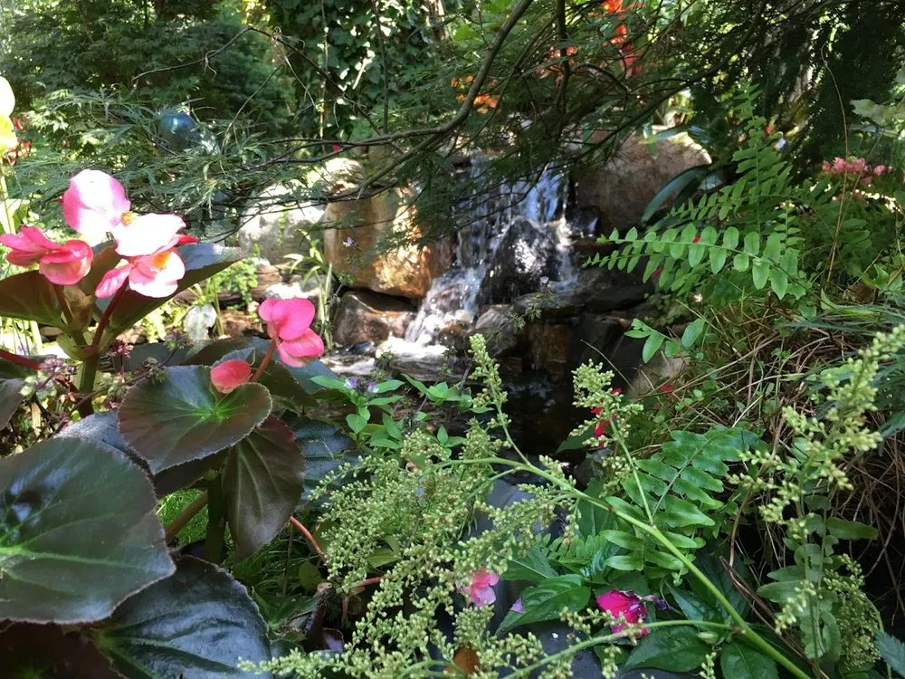 Top-rated yard cleanup service in Kansas City, MO - Good Earth Water Gardens