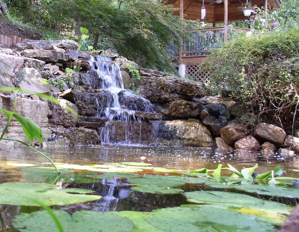 Expert lawn care service in Kansas City, MO - Good Earth Water Gardens