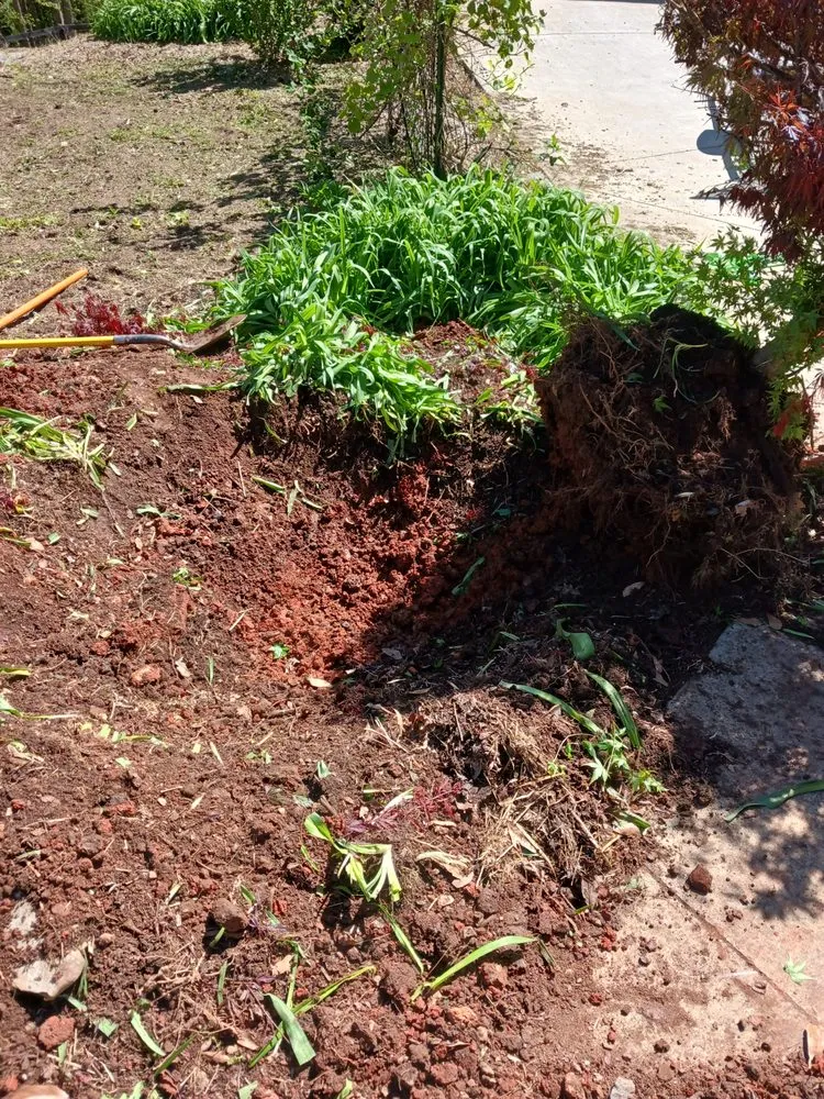 Custom residential landscaping for outdoor upgrades across Rydal, GA - Good Faith Lawn Care