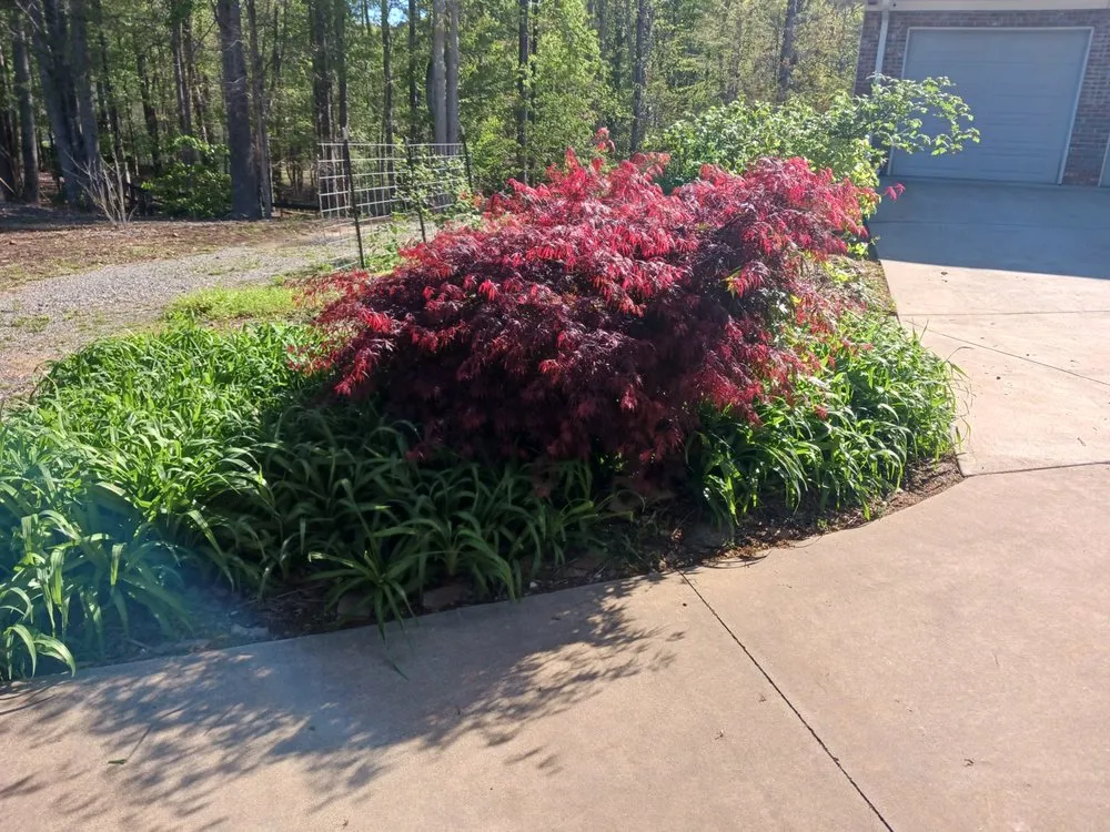 Reliable yard cleanup service in Rydal, GA by Good Faith Lawn Care