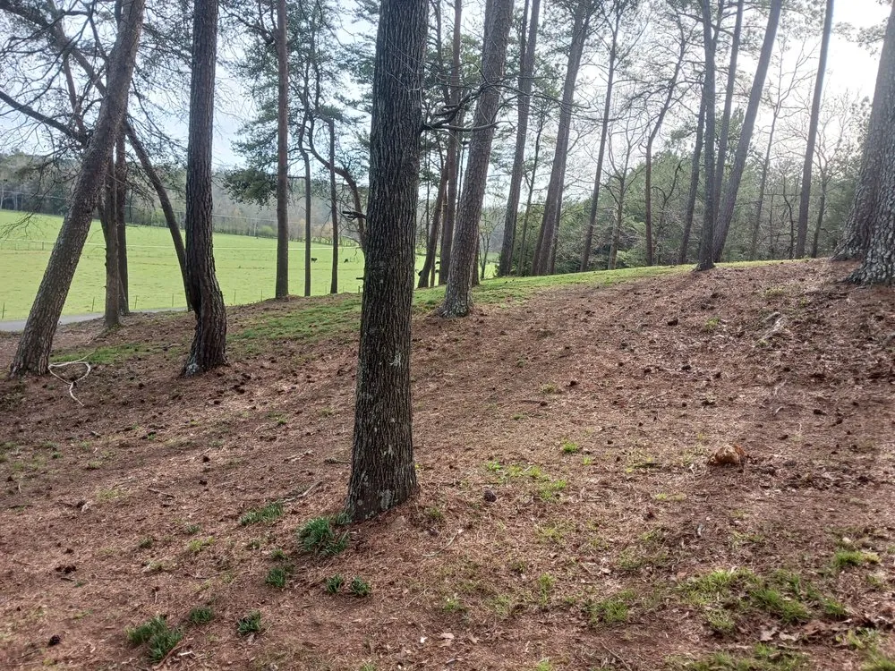 Professional landscaping services in Rydal, GA - Good Faith Lawn Care