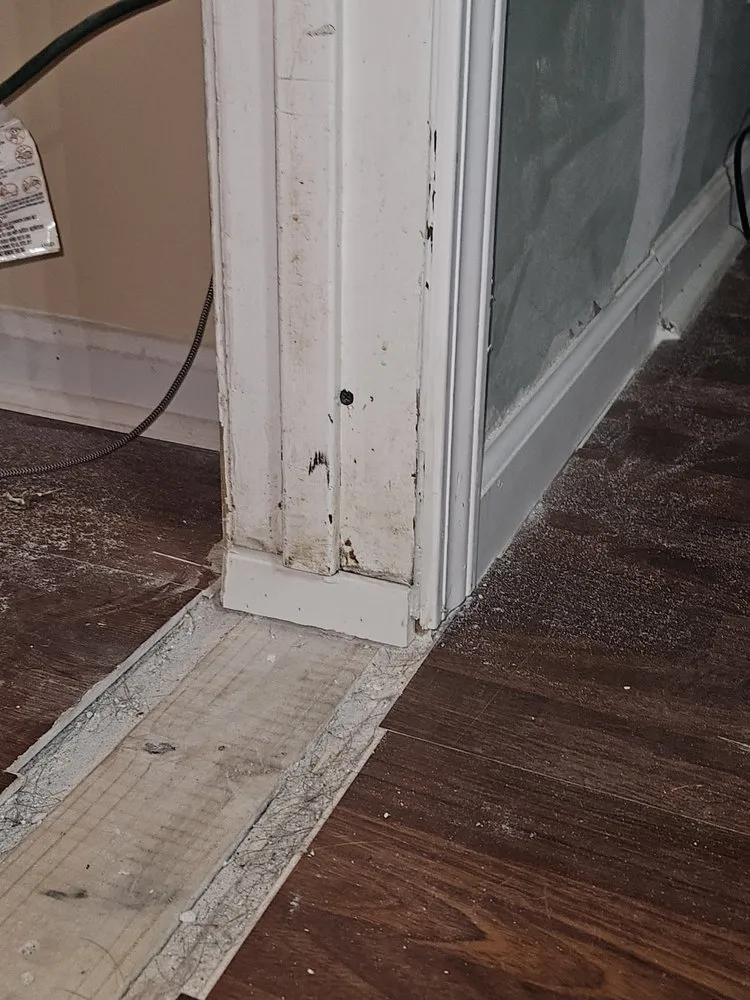 Top-rated yard maintenance in Macon, GA by Good Fellas Painting & Remodeling