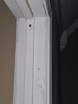 Good Fellas Painting & Remodeling Logo