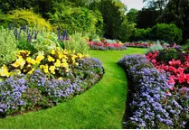 Expert lawn care service in Tyler, TX by Good Fellows Lawn and Landscape