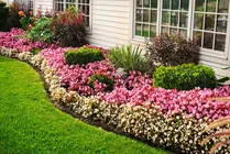 Professional lawn care service experts serving Tyler, TX - Good Fellows Lawn and Landscape