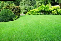 Custom yard maintenance for homes across Tyler, TX - Good Fellows Lawn and Landscape