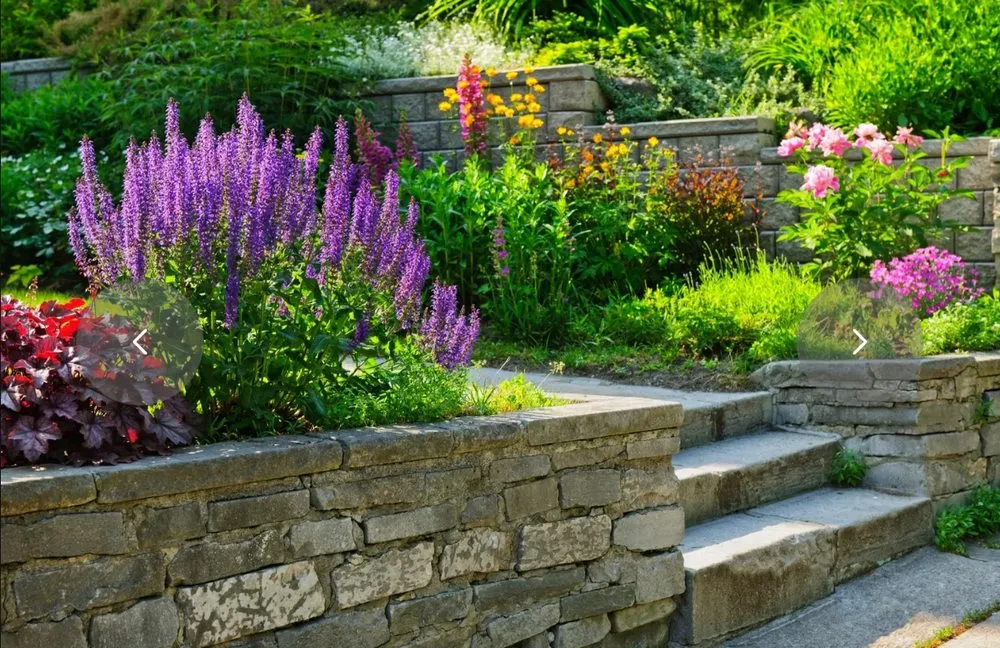 Trusted lawn care service in Round Rock, TX - Good Fig Landscaping