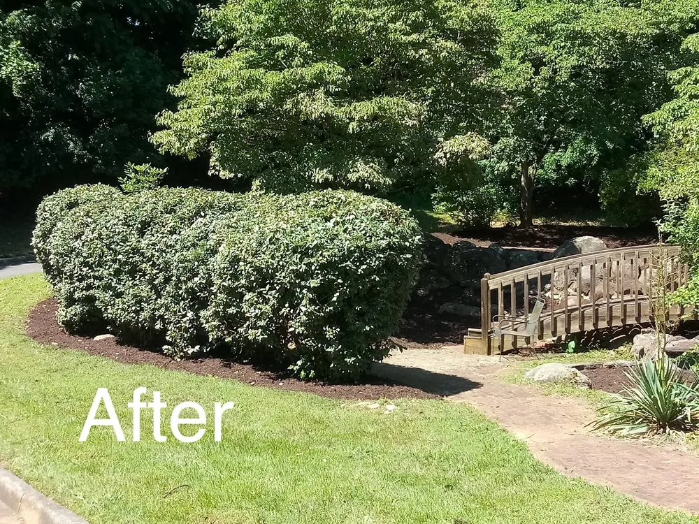 Affordable garden landscaping for year-round maintenance in Lynchburg, VA by Good Green Grounds Maintenance