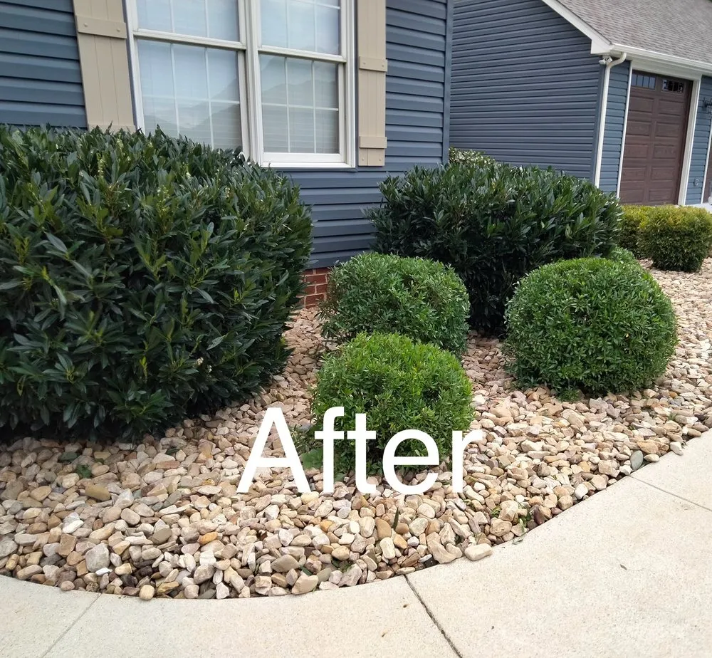 Reliable landscaping services for year-round maintenance in Lynchburg, VA by Good Green Grounds Maintenance