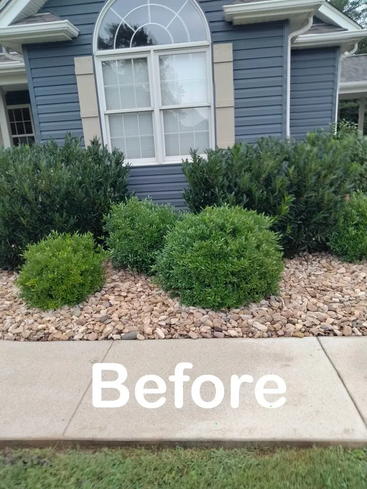 Affordable yard cleanup service in Lynchburg, VA - Good Green Grounds Maintenance