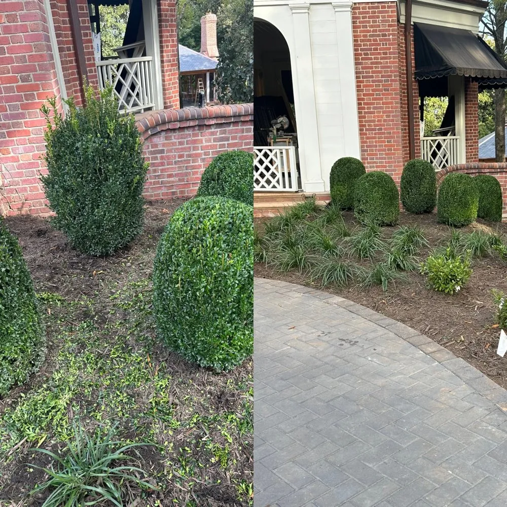 Expert yard cleanup service in Charlotte, NC by Good Green Lawn Care