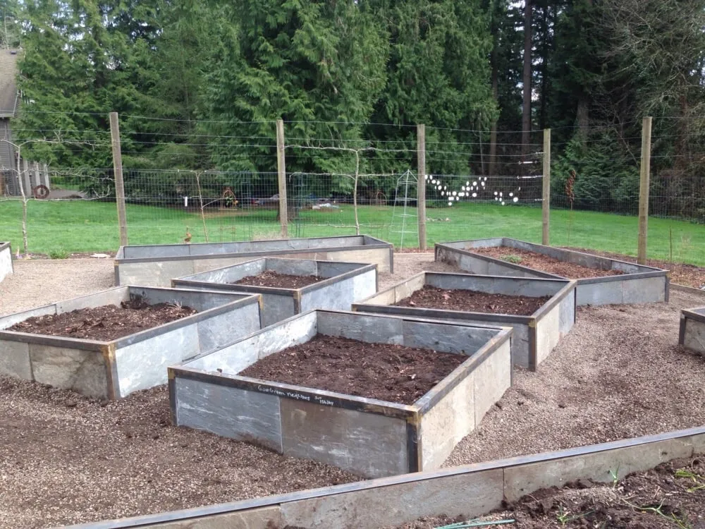 Reliable yard cleanup service for year-round maintenance across Portland, OR - Good Green Neighbors