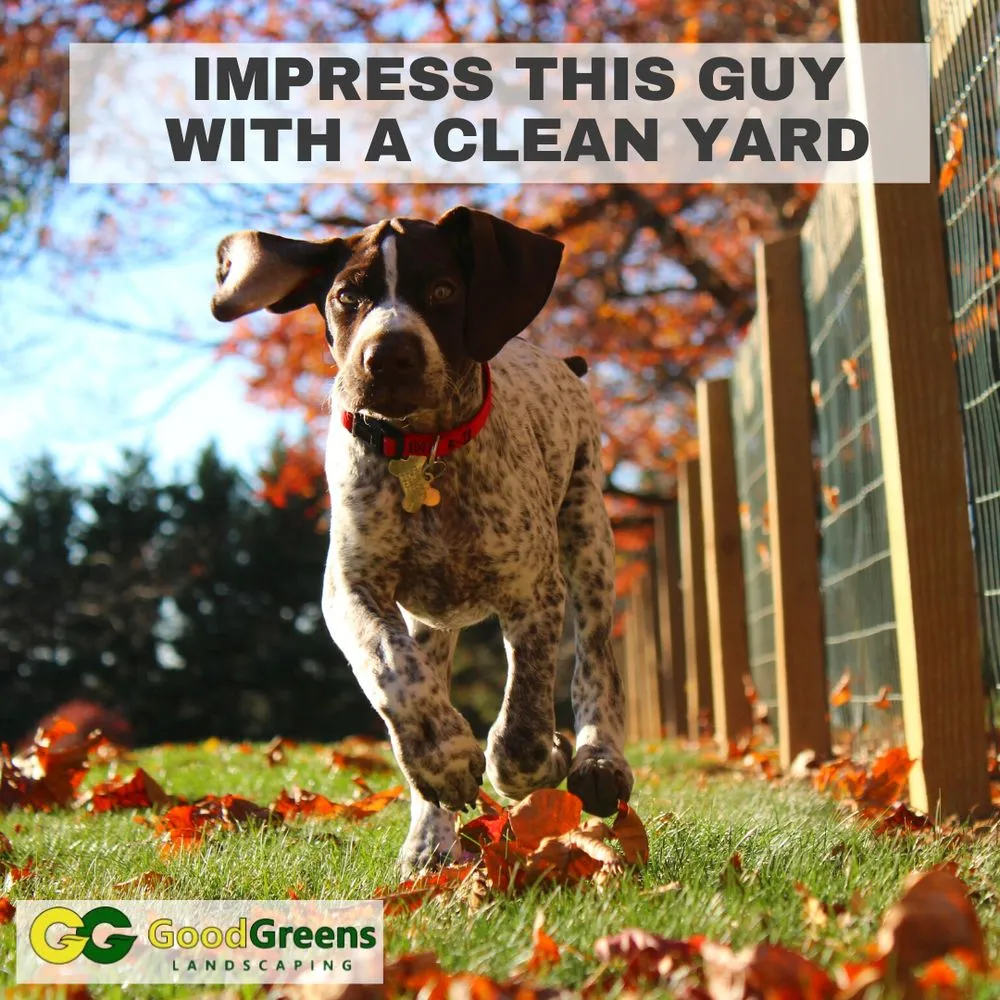 Top-rated landscape design experts serving Framingham, MA - Good Greens Landscaping