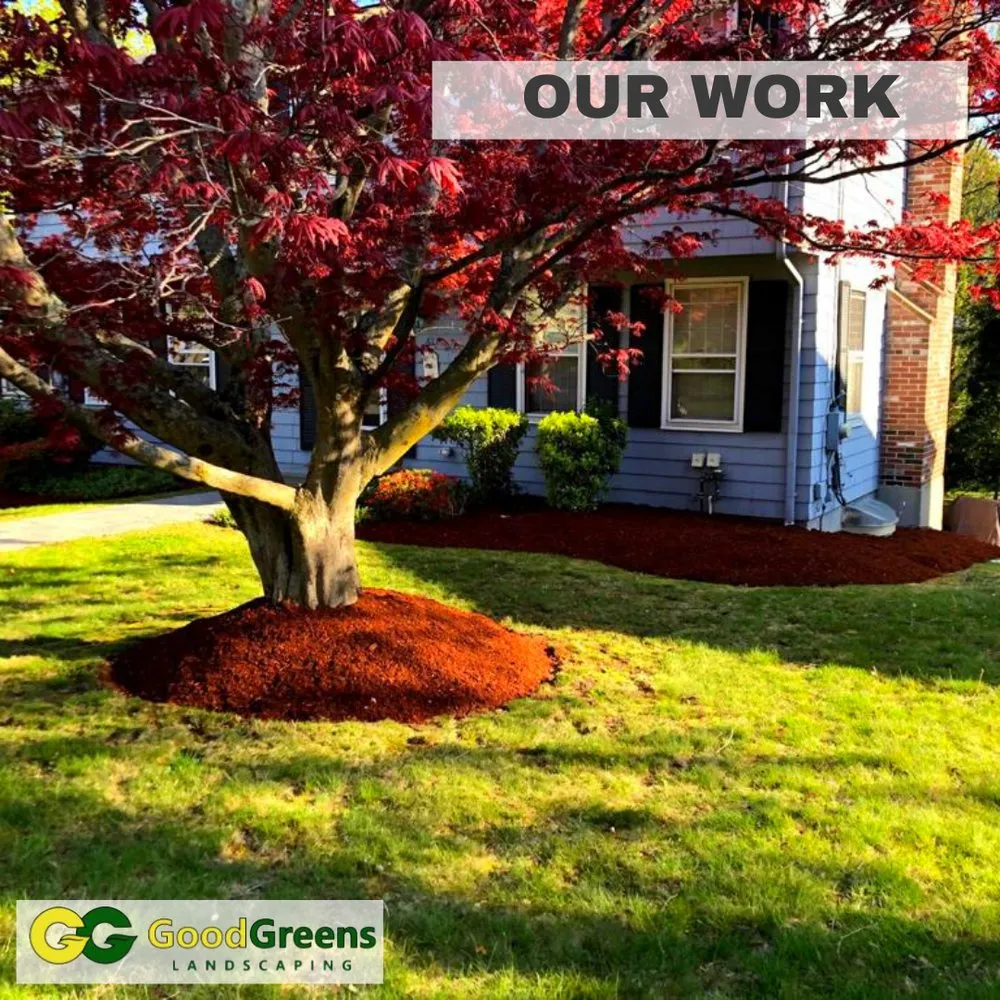 Professional lawn care service in Framingham, MA by Good Greens Landscaping
