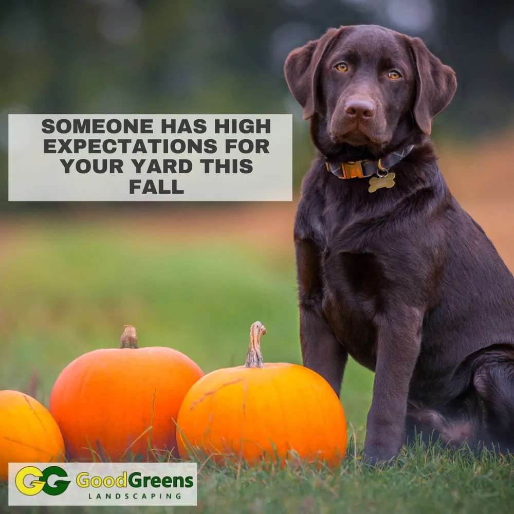 Local garden landscaping in Framingham, MA - Good Greens Landscaping