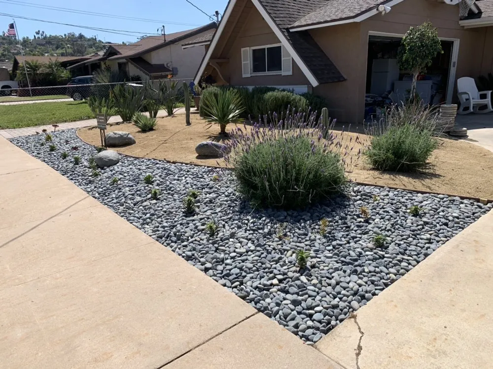Trusted yard cleanup service experts serving La Mesa, CA - Good Grounds Landscaping
