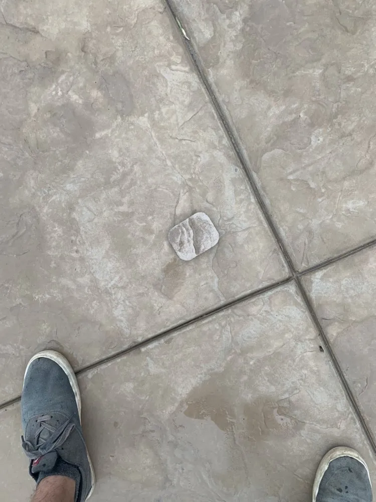 Local landscape design for year-round maintenance across La Mesa, CA - Good Grounds Landscaping