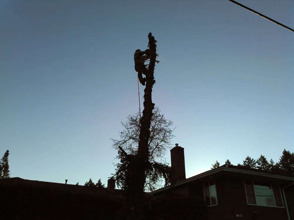 Expert landscape design for year-round maintenance in Portland, OR by Good Guys Landscaping & Maintenance