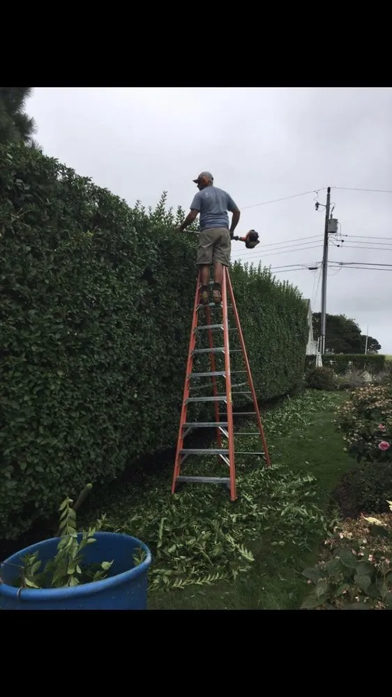 Expert residential landscaping for homes across Dennis, MA - Good Guys Landscaping Services