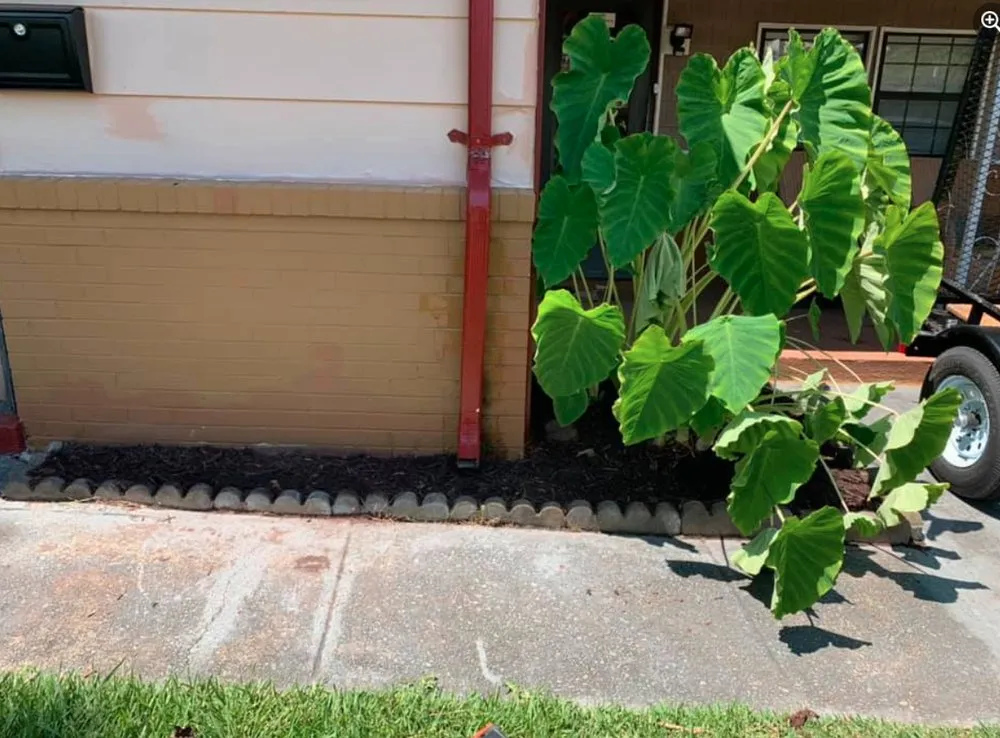 Affordable yard maintenance in Virginia Beach, VA - Good Guys Landscaping