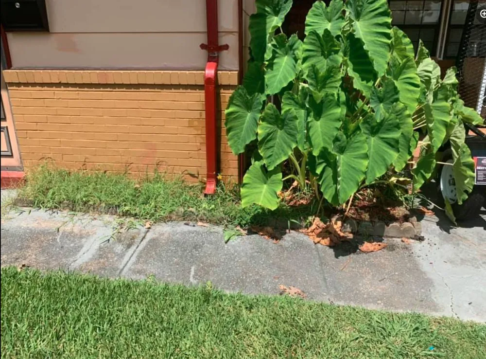 Trusted landscape design experts serving Virginia Beach, VA - Good Guys Landscaping