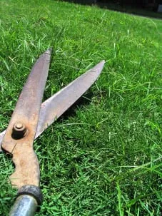 Top-rated landscape design near you in Douglasville, GA by Good Guys Lawn Care Services