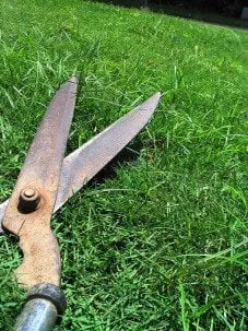 Top-rated lawn mowing service experts serving Douglasville, GA - Good Guys Lawn Care Services