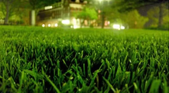 Professional landscaping services experts serving Douglasville, GA - Good Guys Lawn Care Services