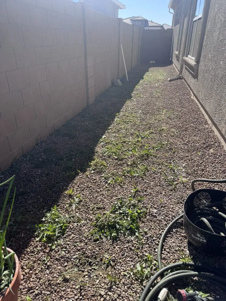 Reliable landscape installation in Maricopa, AZ by Good Hands Landscape