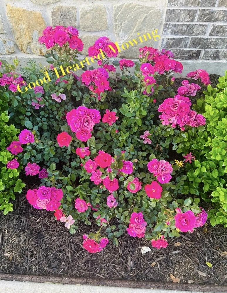 Reliable landscaping services in Joshua, TX - Good Hearted Mowing