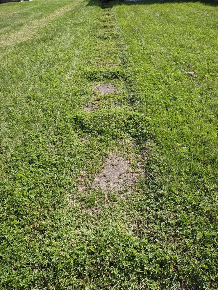 Expert residential landscaping for year-round maintenance across Bellevue, OH - Good help Property maintenance