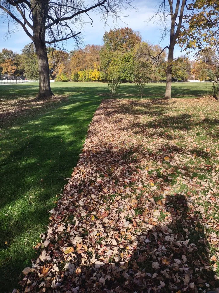 Top-rated garden landscaping with custom design in Bellevue, OH by Good help Property maintenance